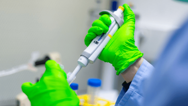 Les prix de la Fondation pour la recherche médicale