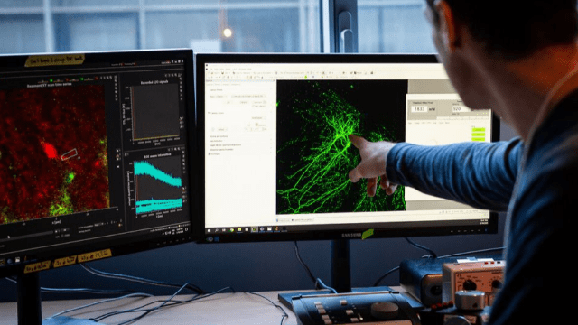 [10 ans] Tour d'horizon de l'innovation à l'université de Bordeaux