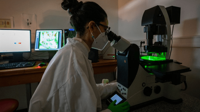 SPARK Bordeaux : huit lauréats distingués en 2024